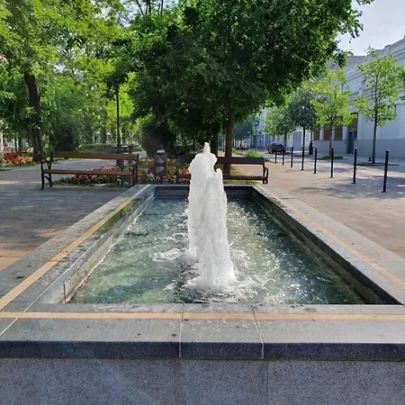 Lovely Apartment In Downtown With Free Parking *